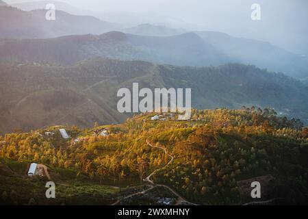 Belle matinée sur des collines avec des plantations de thé près de Haputale au Sri Lanka. Banque D'Images