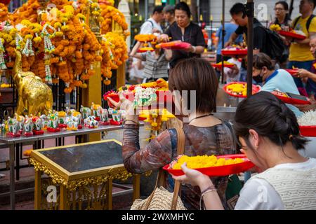 Bangkok, Thaïlande. 28 mars 2024. Une femme asiatique est vue prier avec un panier d'offrandes, au sanctuaire Erawan, dans le centre-ville de Bangkok. Le sanctuaire Erawan, dédié au Dieu Brahma, est un site vénéré où les visiteurs de Thaïlande et du monde entier offrent de l'encens, des guirlandes, des fruits et des statues d'éléphants, espérant que leurs souhaits se réaliseront. En outre, le sanctuaire contribue à des causes caritatives, en fournissant un soutien aux hôpitaux et aux organisations dans toute la Thaïlande. (Crédit image : © Nathalie Jamois/SOPA images via ZUMA Press Wire) USAGE ÉDITORIAL SEULEMENT! Non destiné à UN USAGE commercial ! Banque D'Images