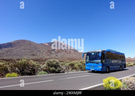 Un bus touristique bleu longe la TF-21, dans un paysage montagneux pittoresque avec un ciel bleu clair et le volcan Teide en arrière-plan Banque D'Images