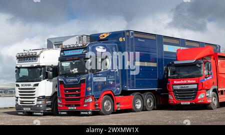 Wagons de bétail garés dans un magasin de vente aux enchères de bétail. Dumfries, Écosse, Royaume-Uni.Dumfries Auction Mart - mars 2024. Banque D'Images