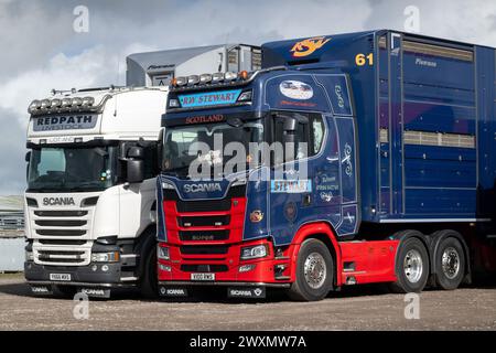 Wagons de bétail garés dans un magasin de vente aux enchères de bétail. Dumfries, Écosse, Royaume-Uni.Dumfries Auction Mart - mars 2024. Banque D'Images