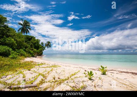 L'île de Koon dans les Maluku. Loin dans l'est de l'Indonésie il y a plusieurs belles îles au milieu de l'océan avec des plages de sable blanc. Banque D'Images