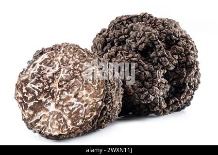 Truffes d'été et tranches de truffes isolées sur fond blanc. Gros plan. Banque D'Images