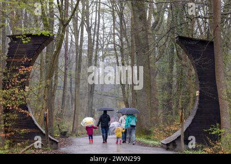 01 avril 2024, Thuringe, Schönstedt : les visiteurs prennent un parapluie pour la promenade dans les arbres dans le parc national de Hainich au début de la saison principale par temps pluvieux. Photo : Michael Reichel/dpa Banque D'Images