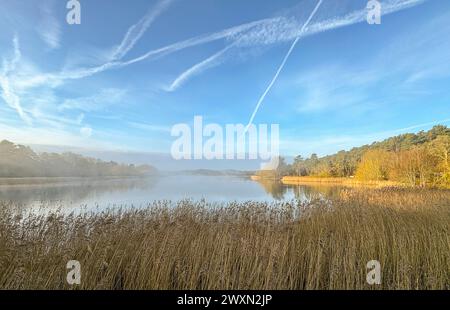Frensham Little Pond, Farnham. 31 mars 2024. Un début de journée brumeux pour les Home Counties avant que le brouillard ne soit remplacé par des intervalles ensoleillés. Frensham Little Pond près de Farnham dans le Surrey. Banque D'Images