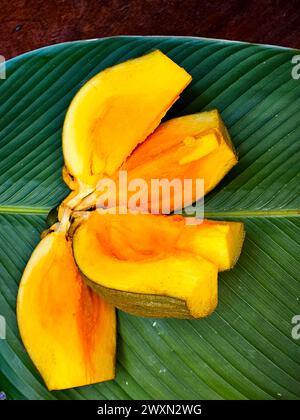 Mamey sapote (Pouteria sapota) de la forêt tropicale péruvienne Banque D'Images