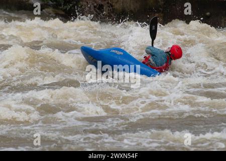 Maidenhead, Berkshire, Royaume-Uni. 1er avril 2024. Les accros à l'adrénaline étaient sortis en kayak sur la Tamise aujourd'hui à Boulter's Weir à Maidenhead, Berkshire. Thames Water a rejeté des eaux usées le long de nombreuses parties de la Tamise au cours des derniers jours, ce qui signifie que ceux qui utilisent la Tamise à des fins de loisirs pourraient mettre leur santé en danger. Le kayak est maintenant une catégorie sportive olympique. Crédit : Maureen McLean/Alamy Live News Banque D'Images