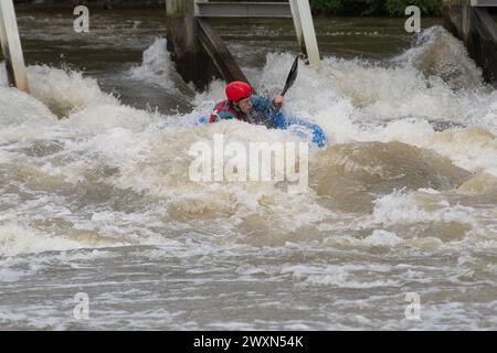 Maidenhead, Berkshire, Royaume-Uni. 1er avril 2024. Les accros à l'adrénaline étaient sortis en kayak sur la Tamise aujourd'hui à Boulter's Weir à Maidenhead, Berkshire. Thames Water a rejeté des eaux usées le long de nombreuses parties de la Tamise au cours des derniers jours, ce qui signifie que ceux qui utilisent la Tamise à des fins de loisirs pourraient mettre leur santé en danger. Le kayak est maintenant une catégorie sportive olympique. Crédit : Maureen McLean/Alamy Live News Banque D'Images