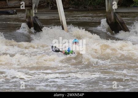 Maidenhead, Berkshire, Royaume-Uni. 1er avril 2024. Les accros à l'adrénaline étaient sortis en kayak sur la Tamise aujourd'hui à Boulter's Weir à Maidenhead, Berkshire. Thames Water a rejeté des eaux usées le long de nombreuses parties de la Tamise au cours des derniers jours, ce qui signifie que ceux qui utilisent la Tamise à des fins de loisirs pourraient mettre leur santé en danger. Le kayak est maintenant une catégorie sportive olympique. Crédit : Maureen McLean/Alamy Live News Banque D'Images