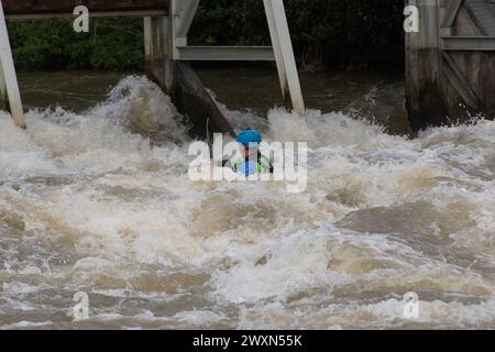 Maidenhead, Berkshire, Royaume-Uni. 1er avril 2024. Les accros à l'adrénaline étaient sortis en kayak sur la Tamise aujourd'hui à Boulter's Weir à Maidenhead, Berkshire. Thames Water a rejeté des eaux usées le long de nombreuses parties de la Tamise au cours des derniers jours, ce qui signifie que ceux qui utilisent la Tamise à des fins de loisirs pourraient mettre leur santé en danger. Le kayak est maintenant une catégorie sportive olympique. Crédit : Maureen McLean/Alamy Live News Banque D'Images