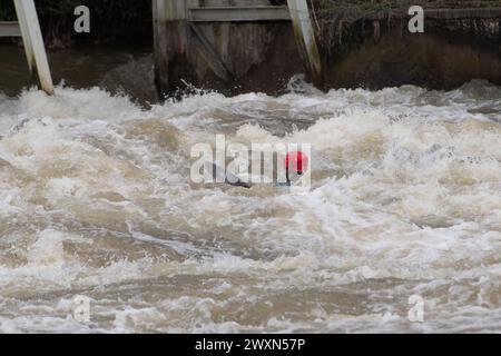 Maidenhead, Berkshire, Royaume-Uni. 1er avril 2024. Les accros à l'adrénaline étaient sortis en kayak sur la Tamise aujourd'hui à Boulter's Weir à Maidenhead, Berkshire. Thames Water a rejeté des eaux usées le long de nombreuses parties de la Tamise au cours des derniers jours, ce qui signifie que ceux qui utilisent la Tamise à des fins de loisirs pourraient mettre leur santé en danger. Le kayak est maintenant une catégorie sportive olympique. Crédit : Maureen McLean/Alamy Live News Banque D'Images