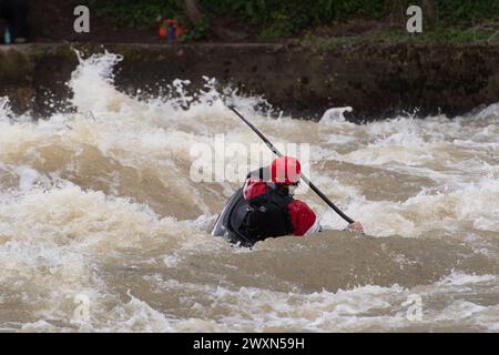 Maidenhead, Berkshire, Royaume-Uni. 1er avril 2024. Les accros à l'adrénaline étaient sortis en kayak sur la Tamise aujourd'hui à Boulter's Weir à Maidenhead, Berkshire. Thames Water a rejeté des eaux usées le long de nombreuses parties de la Tamise au cours des derniers jours, ce qui signifie que ceux qui utilisent la Tamise à des fins de loisirs pourraient mettre leur santé en danger. Le kayak est maintenant une catégorie sportive olympique. Crédit : Maureen McLean/Alamy Live News Banque D'Images