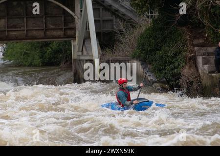 Maidenhead, Berkshire, Royaume-Uni. 1er avril 2024. Les accros à l'adrénaline étaient sortis en kayak sur la Tamise aujourd'hui à Boulter's Weir à Maidenhead, Berkshire. Thames Water a rejeté des eaux usées le long de nombreuses parties de la Tamise au cours des derniers jours, ce qui signifie que ceux qui utilisent la Tamise à des fins de loisirs pourraient mettre leur santé en danger. Le kayak est maintenant une catégorie sportive olympique. Crédit : Maureen McLean/Alamy Live News Banque D'Images