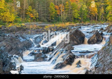 Prog Louis River, Jay Cooke State Park, Autumn, MN, USA, par Dominique Braud/Dembinsky photo Assoc Banque D'Images