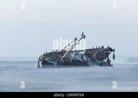 L'épave du Sovereign (BF380) entourée de brouillard marin. Le Sovereign était un bateau de pêche enregistré par Banff qui s'est échoué sur les rochers de Cairnbulg Banque D'Images