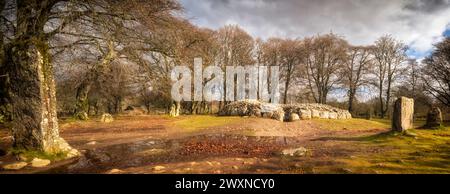 Clava Cairns près de Culloden sur le bord d'Inverness par une belle fin de matinée de mars. Banque D'Images