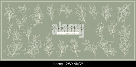 Branche d'olivier. Feuille de plante de ligne, feuilles d'arbre grec esquisse art, huile méditerranéenne ou logo de fleur. Éléments botaniques décoratifs dessinés à la main, collection de décor isolé. Icônes vectorielles monochromes Illustration de Vecteur