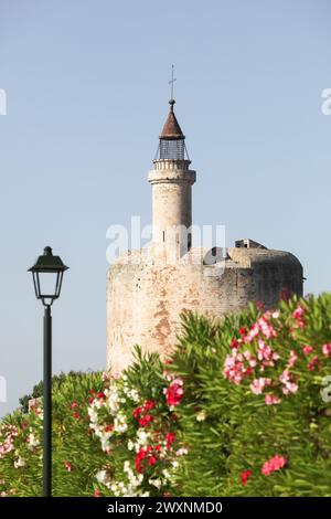 La tour de Constance à Aigues-mortes Banque D'Images