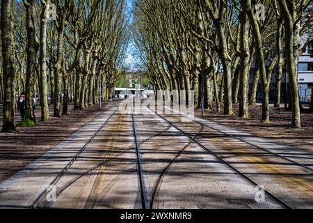Une photo des voies de tramway qui font un chemin à travers le parc des Quinconces à Bordeaux, France Banque D'Images