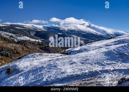 Montagnes enneigées du Puigmal et du Ripollès, vues depuis le Pla d'Anyella (Ripollès, Catalogne, Espagne, Pyrénées) ESP : El Puigmal y las Montañas del Ripollès Banque D'Images