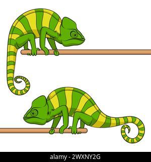 Ensemble d'illustrations en couleur avec caméléon vert. Objet vectoriel isolé sur fond blanc. Illustration de Vecteur