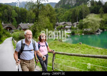 Portrait de couple de personnes âgées actives randonnant ensemble dans les montagnes. Touristes seniors marchant avec des bâtons de trekking. Banque D'Images