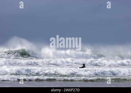 Cours de surf à Mawgan Porth, Cornwall, pendant un après-midi très venteux Banque D'Images