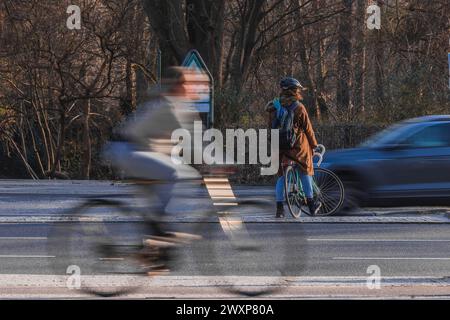 Cycliste féminine attend de traverser la route, tout en se tenant au milieu de la route et les voitures se précipitent devant elle. Situation routière dangereuse avec un bicyc Banque D'Images