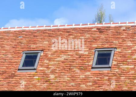 Nouvelle construction de toiture avec tuiles en terre cuite et fenêtres Velux - Preuilly-sur-Claise, Indre-et-Loire (37), France. Banque D'Images