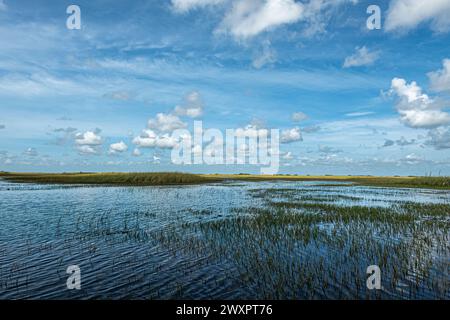 Everglades, Floride, États-Unis - 29 juillet 2023 : panorama bleu de marais avec une minuscule ceinture vert-jaune séparant l'eau du paysage nuageux Banque D'Images