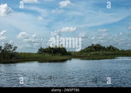 Everglades, Floride, États-Unis - 29 juillet 2023 : paysage large. La ceinture verte d'arbre sépare l'eau bleue des marais du paysage nuageux bleu Banque D'Images