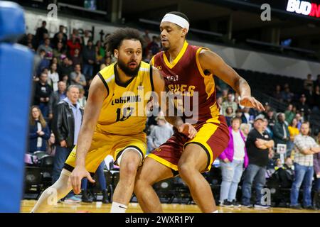 Londres, Canada. 1er avril 2024. Le London Lightning mène les Newfoundland Rogues 60-56 à la mi-temps. Jermaine Haley (10 ans) du London Lightning fait le tour de la marquise Collins (15 ans) des Newfoundland Rogues au cours du premier quart-temps. Crédit : Luke Durda/Alamy Live News Banque D'Images