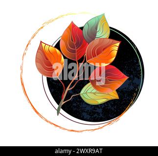 Composition florale asymétrique d'une branche d'eucalyptus dessinée artistiquement avec des feuilles décoratives rouges et vertes avec un cercle texturé noir sur b blanc Illustration de Vecteur