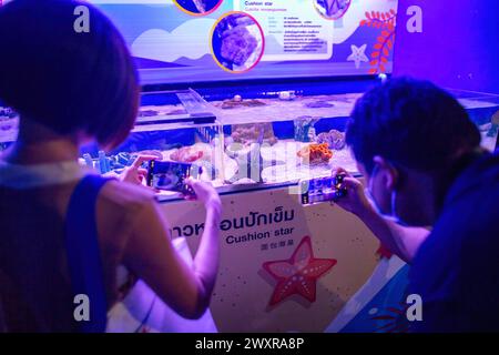 Les visiteurs prennent une photo d'un poisson à Chiang mai Zoo Aquarium, à Chiang mai. Le Chiang mai Zoo Aquarium il y a un tunnel souterrain dans le bâtiment qui est un tunnel d'eau douce et un tunnel maritime et reliés entre eux par un chemin de marche automatique et est le plus long en Asie du Sud-est et la longueur totale est de 133 mètres. La longueur du tunnel maritime est de 66,5 mètres et le tunnel d'eau douce est de 66,5 mètres. Le Chiang mai Zoo Aquarium a rouvert ses portes aux touristes le 1er avril après plus d'un an de rénovation, un investissement de près de 30 millions de bahts a été réalisé pour rénover à la fois l'extérieur et l'intérieur du bâtiment. L'AQ Banque D'Images