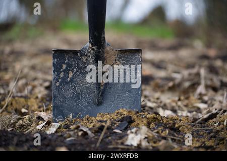 Gros plan d'une pelle avec un manche noir coincé dans le sol, avec de la saleté et de la boue sur la lame, entourant le sol couvert de boue et de feuilles tombées Banque D'Images