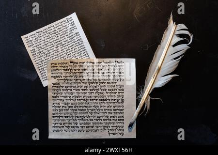 Parchemins de mezuzah faits à partir de peau animale avec le texte complet de la prière de Shema Yisrael et les piqûres de plumes utilisées pour écrire la calligraphie hébraïque et Banque D'Images