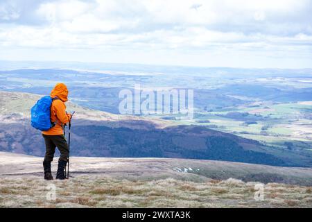 Brecon Beacons Wales. Un marcheur solitaire vêtu de vêtements de marche de couleur vive se tenant debout au sommet de Corn du vérifiant son téléphone portable avant de continuer Banque D'Images