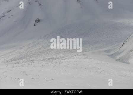 Traces de rallye freeride sur neige poudreuse. Panorama aérien de Kudebi, Bidara, Sadzele, Kobi dans les montagnes hivernales du caucase. Vue aérienne drone de Gudauri ski RES Banque D'Images