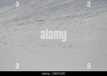 Traces de rallye freeride sur neige poudreuse. Panorama aérien de Kudebi, Bidara, Sadzele, Kobi dans les montagnes hivernales du caucase. Vue aérienne drone de Gudauri ski RES Banque D'Images