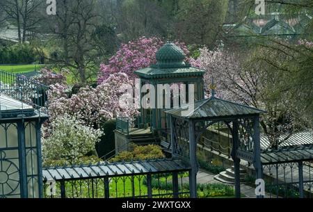 Le magnolia fleurit à Wilhelma Stuttgard. Baden Wuertemberg, Allemagne, Europe Banque D'Images