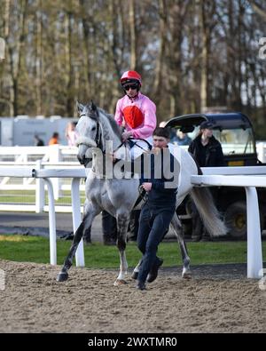 Racehorse GRIS BRUMEUX - XI championnats tous temps Banque D'Images