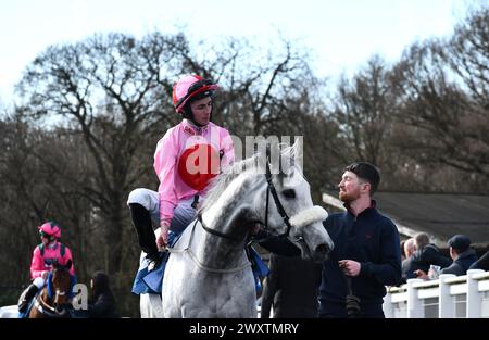 Racehorse GRIS BRUMEUX - XI championnats tous temps Banque D'Images