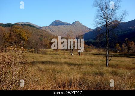 'Sgurr na h-Ighinn' et la montagne écossaise Corbett 'Sgurr Dhomhuill' de Ceann a' Chreagain à Ardgour, Highlands écossais, Écosse. ROYAUME-UNI. Banque D'Images