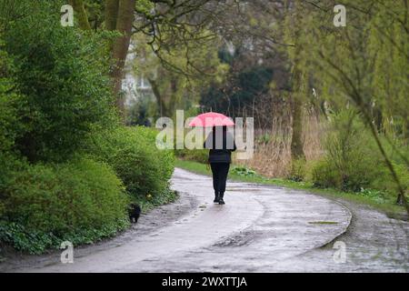 Hambourg, Allemagne. 02 avril 2024. Un passant promène un chien sous la pluie dans un parc. Crédit : Marcus Brandt/dpa/Alamy Live News Banque D'Images