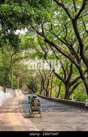 Les arbres sur la belle route de Tigerpass à la ville de Kadmatoli ont été marqués pour l'abattage. L’Autorité de développement de Chittagong a déclaré que ces arbres seront coupés avant la construction de l’infrastructure principale de la rampe après l’essai de sol. Plus tôt en 2021, une initiative a été prise pour construire un hôpital à CRB, un endroit entouré de beauté naturelle et de verdure. Mais la société civile a protesté contre elle. Face aux protestations de la société civile, l'hôpital n'a pas été ouvert. (Photo de Md. Zakir Hossain/Pacific Press) Banque D'Images