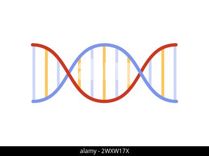 Hélice d'ADN, modèle scientifique de molécule avec illustration vectorielle de structure en spirale Illustration de Vecteur