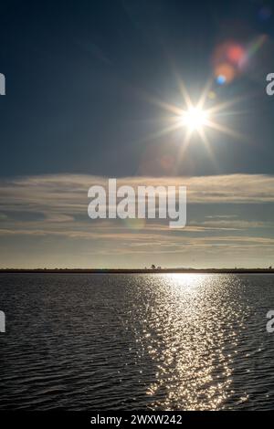 La lumière du soleil se reflète sur l'eau dans les rizières inondées d'Isla Mayor, Séville, avec un ciel clair. Banque D'Images