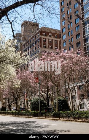 Street Scene, Park Avenue, Residential Apartments, NYC, Etats-Unis Banque D'Images