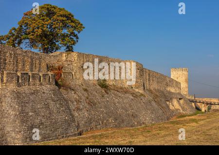 Porte despote de la forteresse de Belgrade, XVe siècle, Kalemegdan, Belgrade, Serbie Banque D'Images