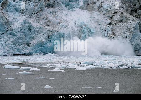 Le visage du glacier de Pia vêlage et tombant dans la baie de Pia. Le glacier coule des montagnes Darwin et fond rapidement en raison du changement climatique. Banque D'Images